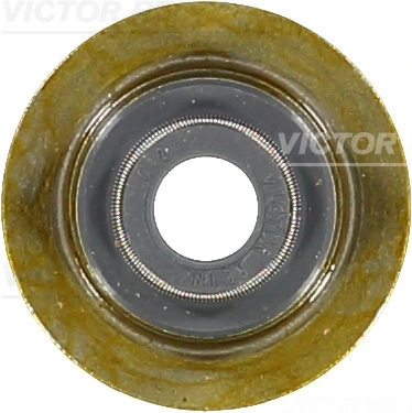 Seal Ring, valve stem